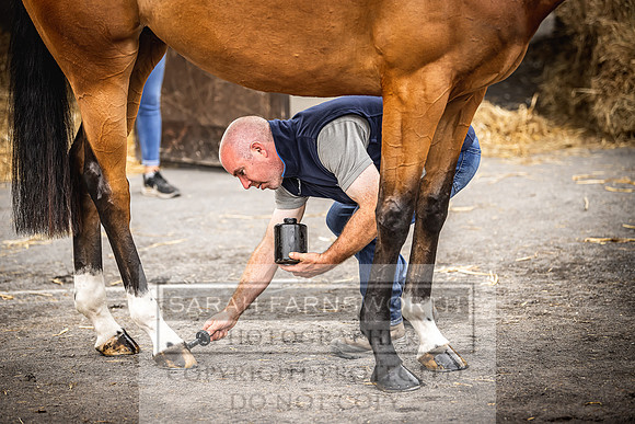 Goffs Land Rover Sale 2022-319