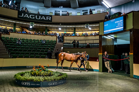 Goffs Orby 2018 Day 1-146