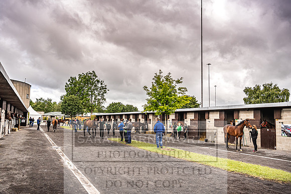 Goffs Land Rover Sale 2022-553