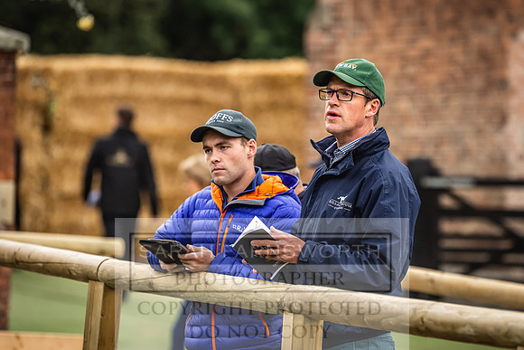 Goffs Yorton Sale 2022-5