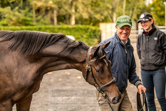 Goffs Orby 2018 Day 1-56