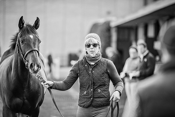 Goffs Orby 2015 -224 bw