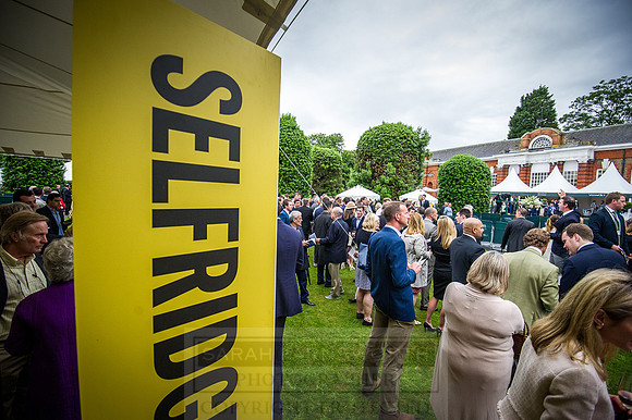 Goffs London Sale 2016-470