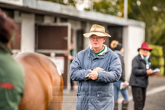 Goffs Orby 2018 Day 1-45