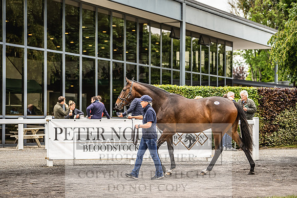 Goffs Land Rover Sale 2022-244