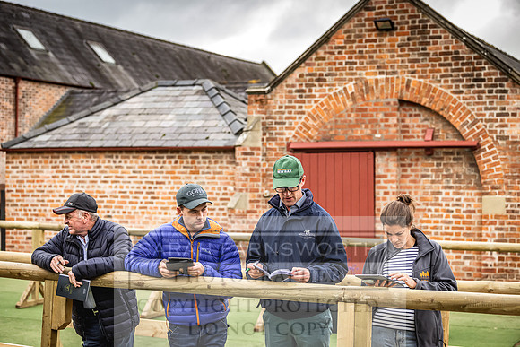 Goffs Yorton Sale 2022-18