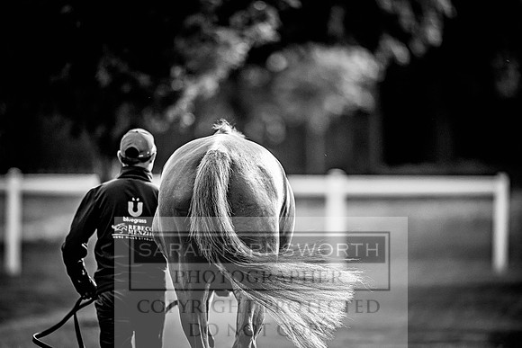 Goffs Land Rover Sale 2022-502
