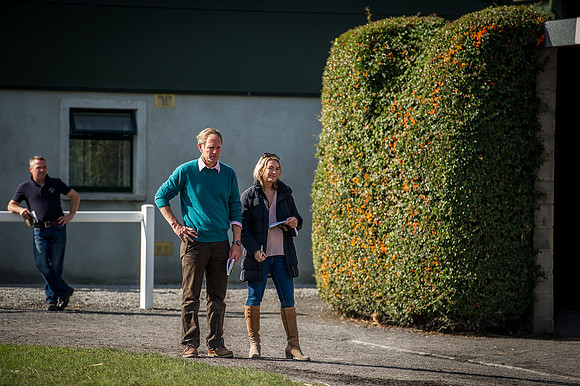 Goffs Orby 2015 -292