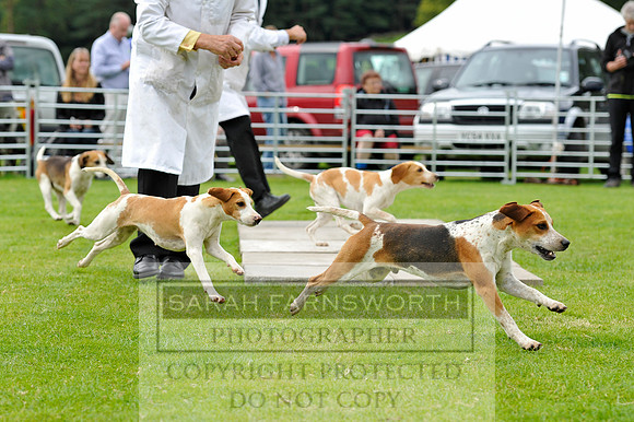 Rydal 2014 CF2 869