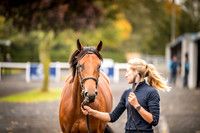 Goffs Orby 2018 Day 1-2