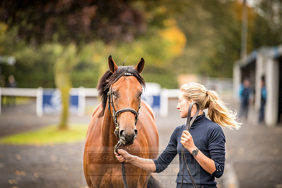 Goffs Orby 2018 Day 1-2