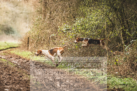 Thurlow at Heythrop 130319-627