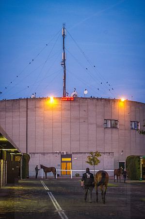 Goffs Orby 2015 -12