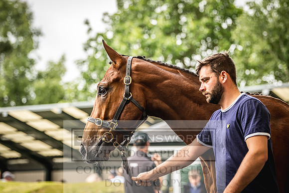 Goffs Land Rover Sale 2022-189