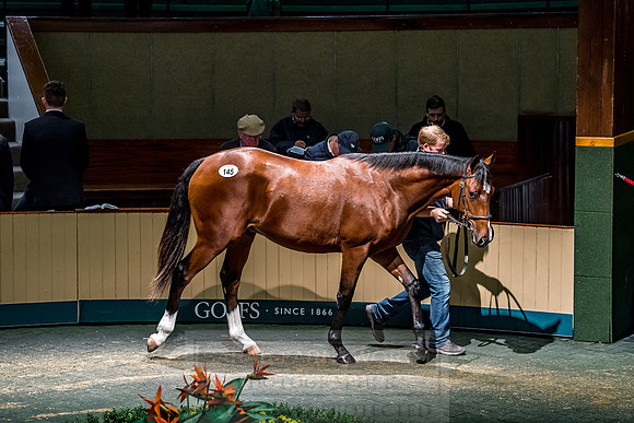 Goffs Orby 2018 Day 1-350