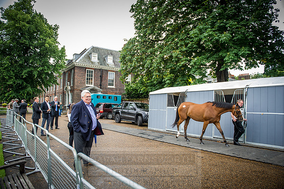 Goffs London Sale 2016-121
