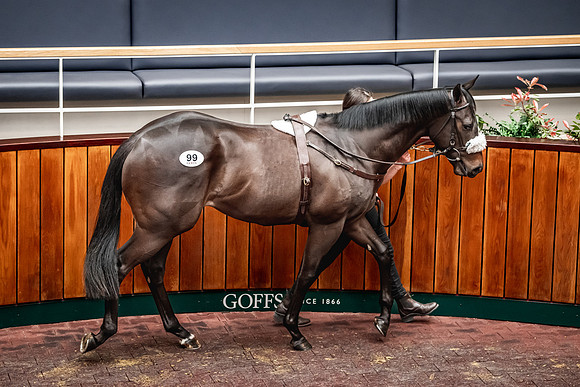 Goffs UK Breeze Up 2022-269