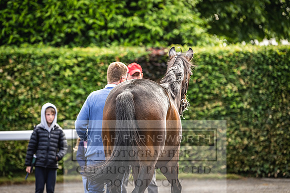 Goffs Land Rover Sale 2022-16