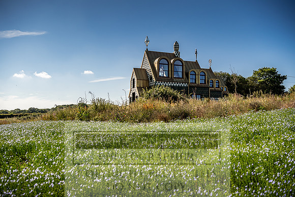 A House For Essex-17