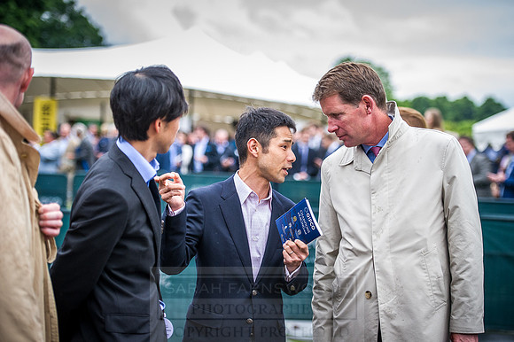 Goffs London Sale 2016-395