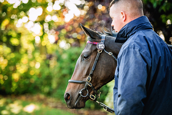 Goffs Orby 2015 -193