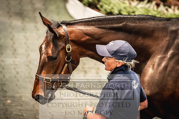 Goffs Land Rover Sale 2022-298