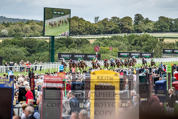 GUK Goodwood Sale 2019-11