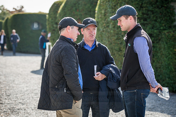 Goffs Orby 2015 -264