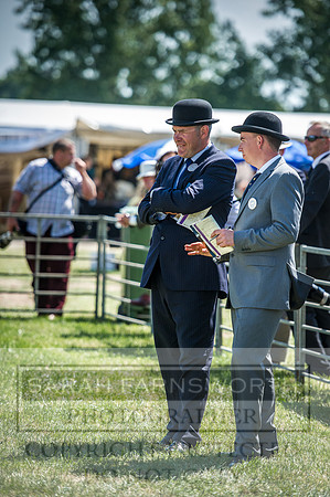 PFoH 2016-545