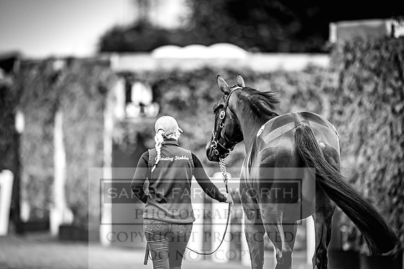Goffs Land Rover Sale 2022-615