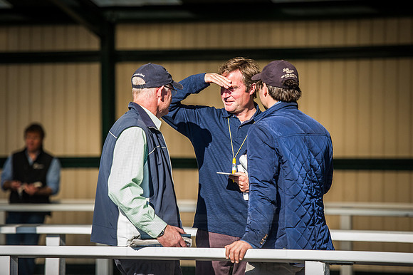 Goffs Orby 2015 -527