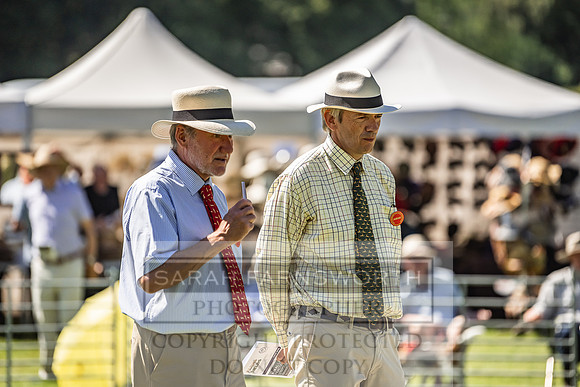 Rydal Hound Show 2022-71