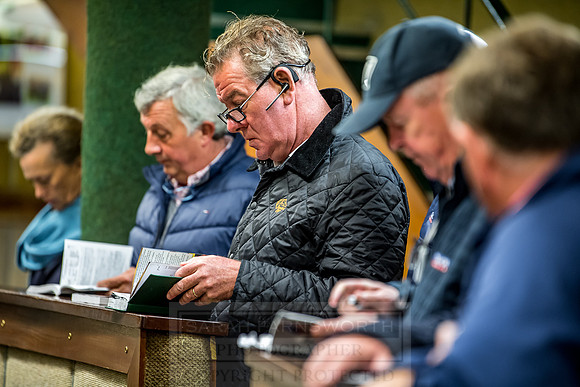 Goffs Orby 2018 Day 1-219