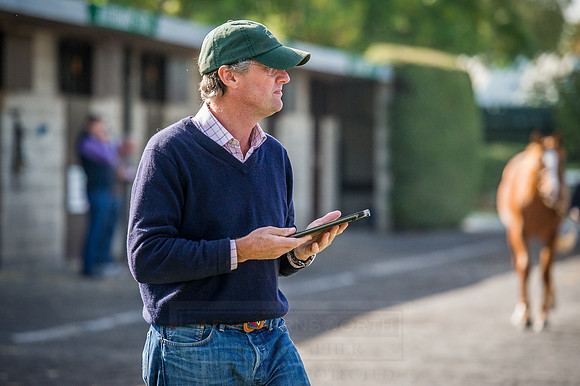 Goffs Orby 2015 -287