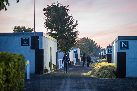 Goffs Orby 2015 -24