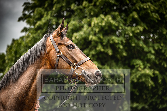 Goffs Land Rover Sale 2022-225