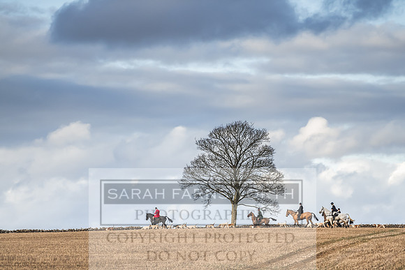 Thurlow at Heythrop 130319-650