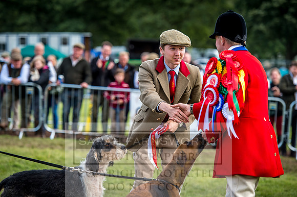 Lowther Hound Show 2017-150