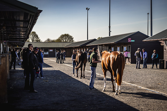 Goffs UK Breeze Up 2022-122