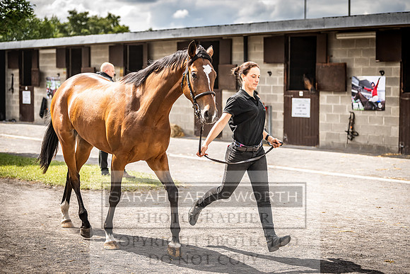Goffs Land Rover Sale 2022-374