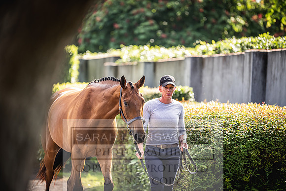 Goffs Land Rover Sale 2022-163