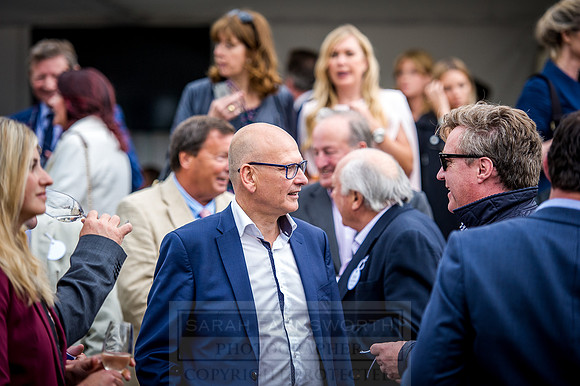 Goffs London Sale 2016-202