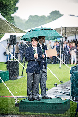 Goffs London Sale 2016-327