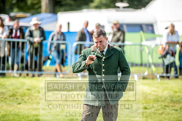 Lowther Hound Show 2017-73