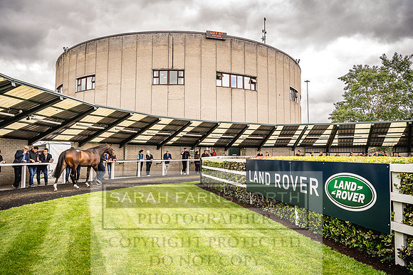 Goffs Land Rover Sale 2022-274