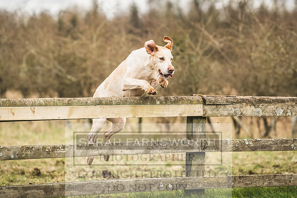 Thurlow at Heythrop 130319-449