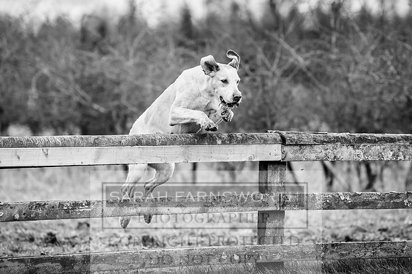 Thurlow at Heythrop 130319-448