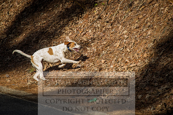 Mooreland Hunt-36
