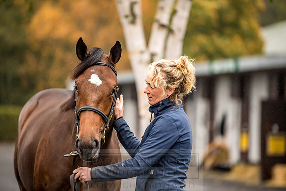 Goffs Orby 2018 Day 1-12