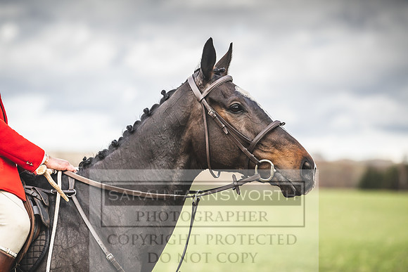 Thurlow at Heythrop 130319-392